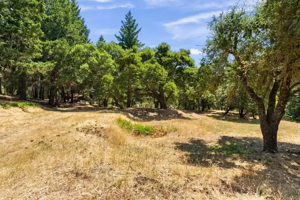 Los Gatos, CA 95033,0 Spanish Ranch RD