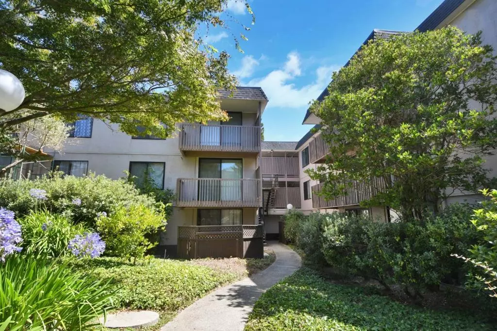 San Bruno, CA 94066,3235 Shelter Creek LN