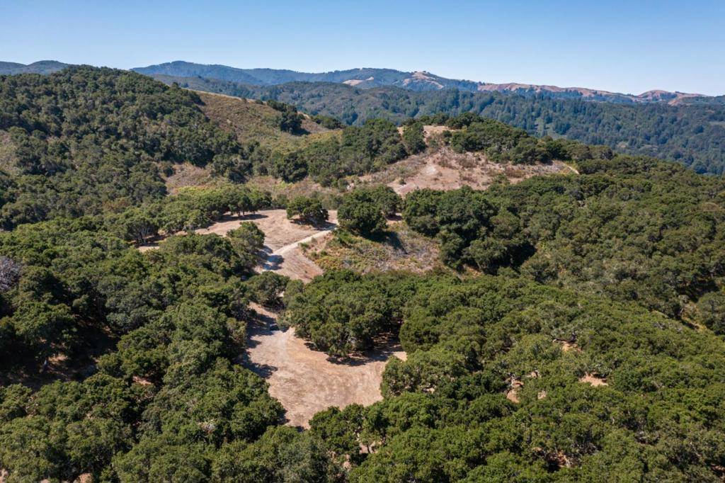 8 Corral RUN, Carmel, CA 93923