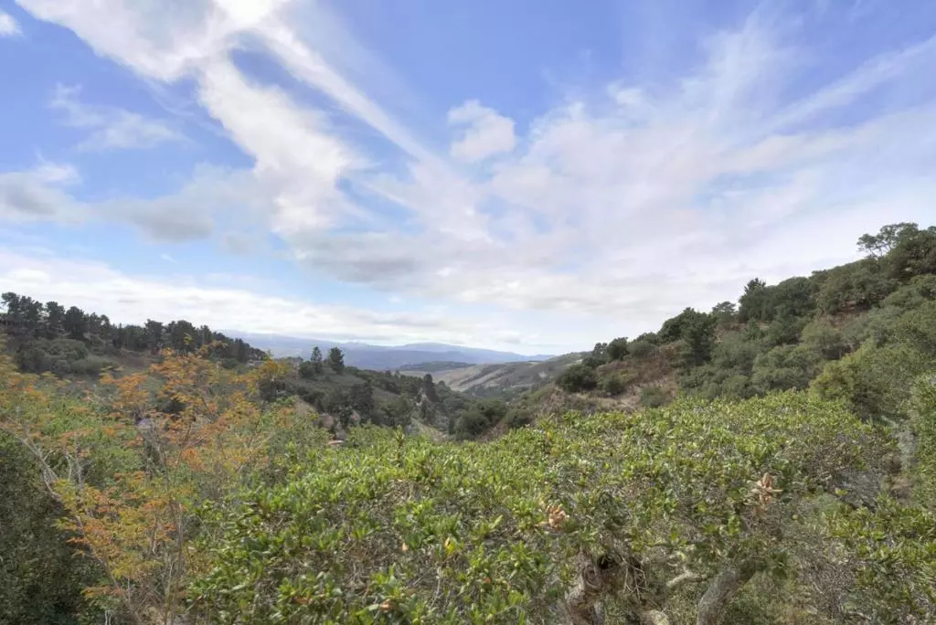 Carmel Valley, CA 93924,12440 Saddle RD