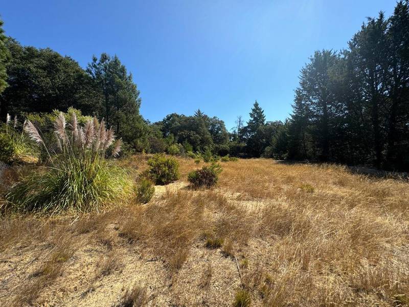 0 ALTA VISTA RD, Santa Cruz, CA 95060