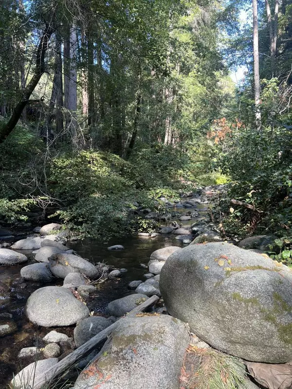 Boulder Creek, CA 95006,14515 Big Basin HWY