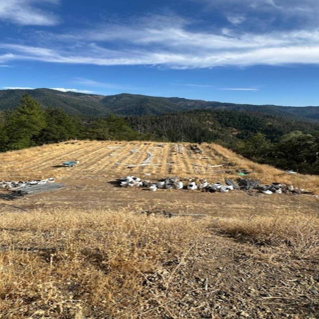 Hayfork, CA 96041,1900 Devils Gulch RD