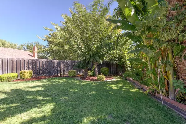 San Jose, CA 95148,3156 Apperson Ridge CT