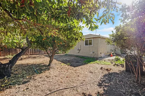 San Mateo, CA 94403,301 Estrella WAY