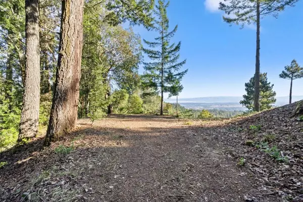 Woodside, CA 94062,0 Allen