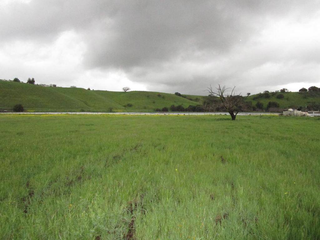 Hollister, CA 95023,0 Southside RD