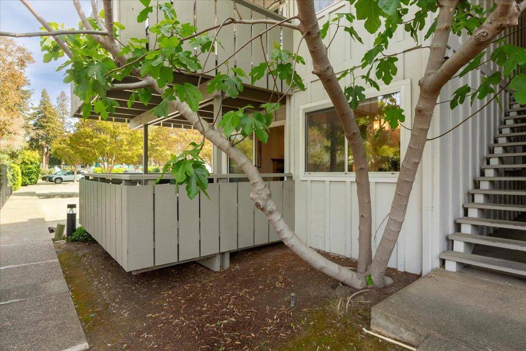Mountain View, CA 94040,255 S Rengstorff AVE #99
