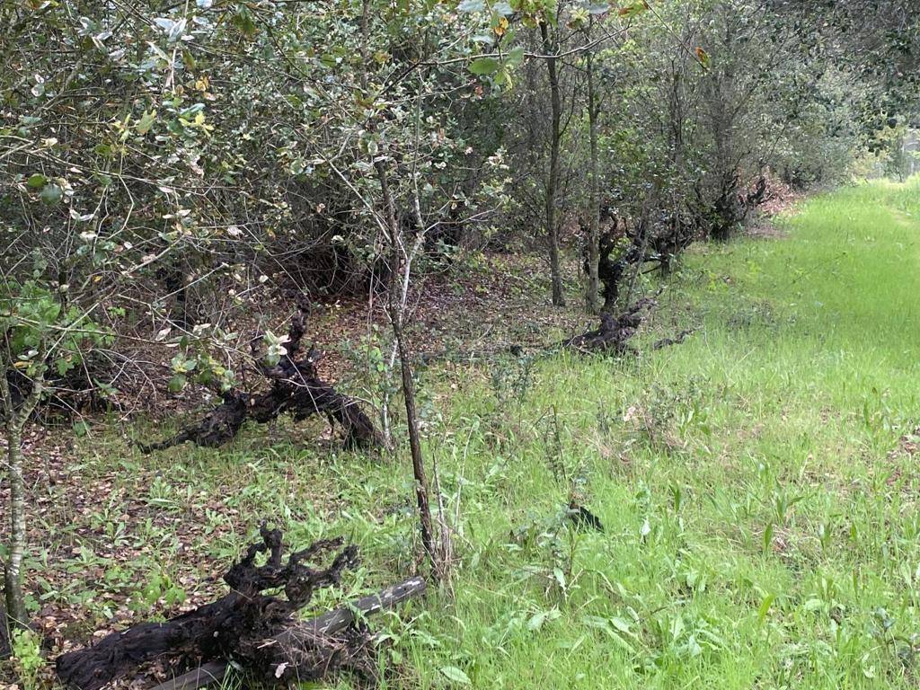 Gilroy, CA 95020,0 Hecker Pass