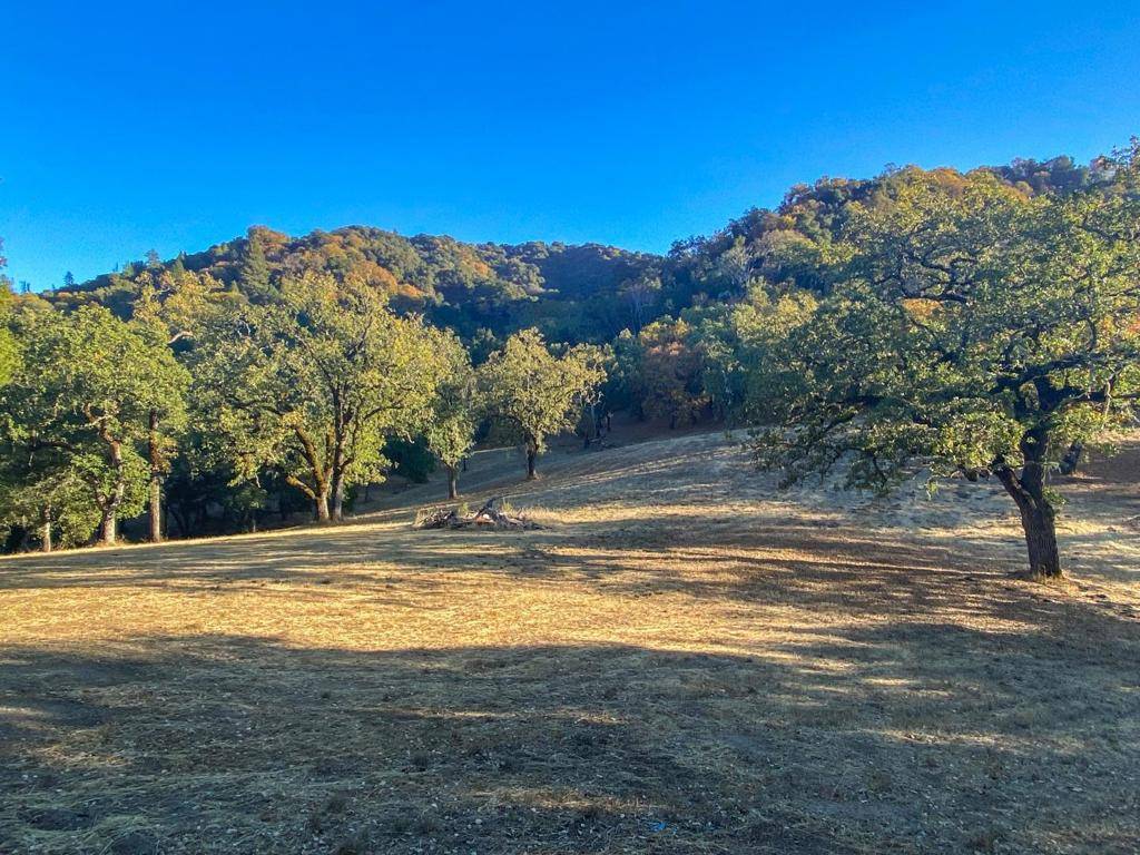 Carmel, CA 93923,22 Arroyo Sequoia