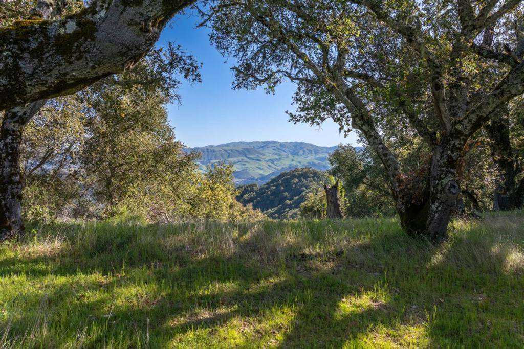 Carmel, CA 93923,7 Long Ridge Trail (Lot 228)