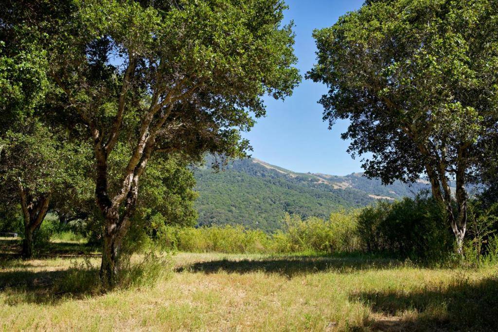 4 Holding Field RUN, Carmel, CA 93923