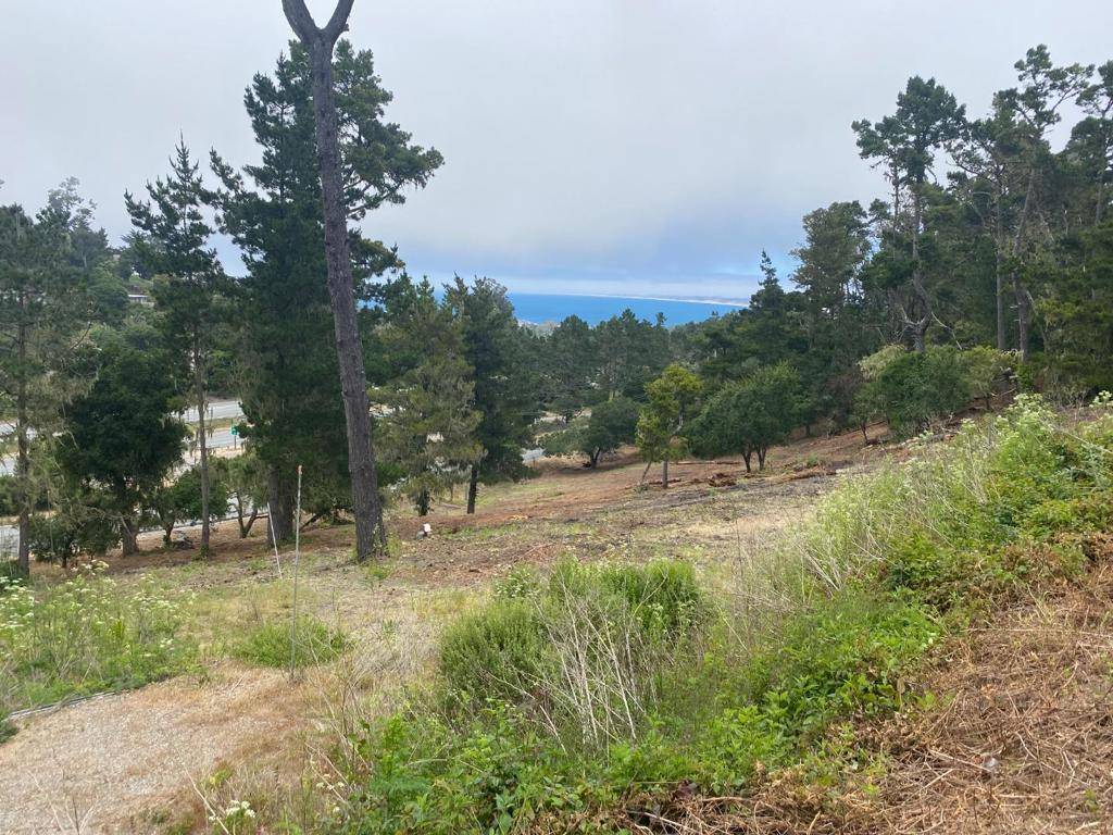 711 Viejo RD, Carmel, CA 93923