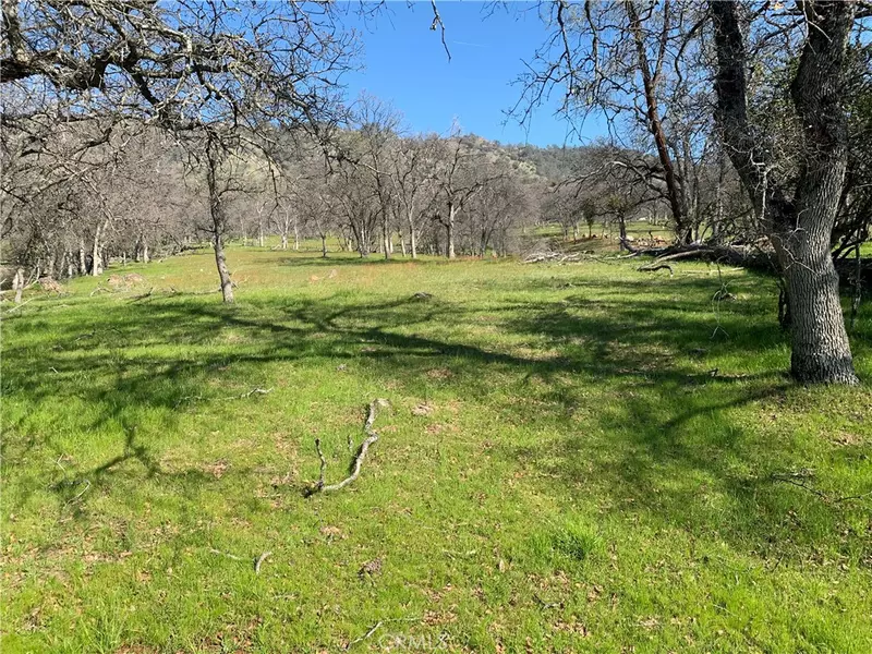 3096 Highway 140, Catheys Valley, CA 95306