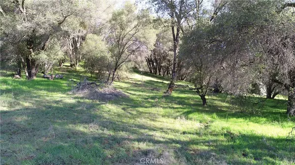 Mariposa, CA 95338,4064 Amelia DR