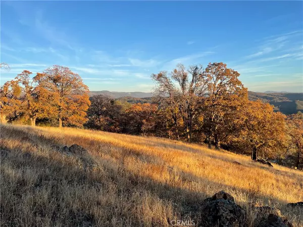 Mariposa, CA 95338,0 10 AC Alta Vista RD