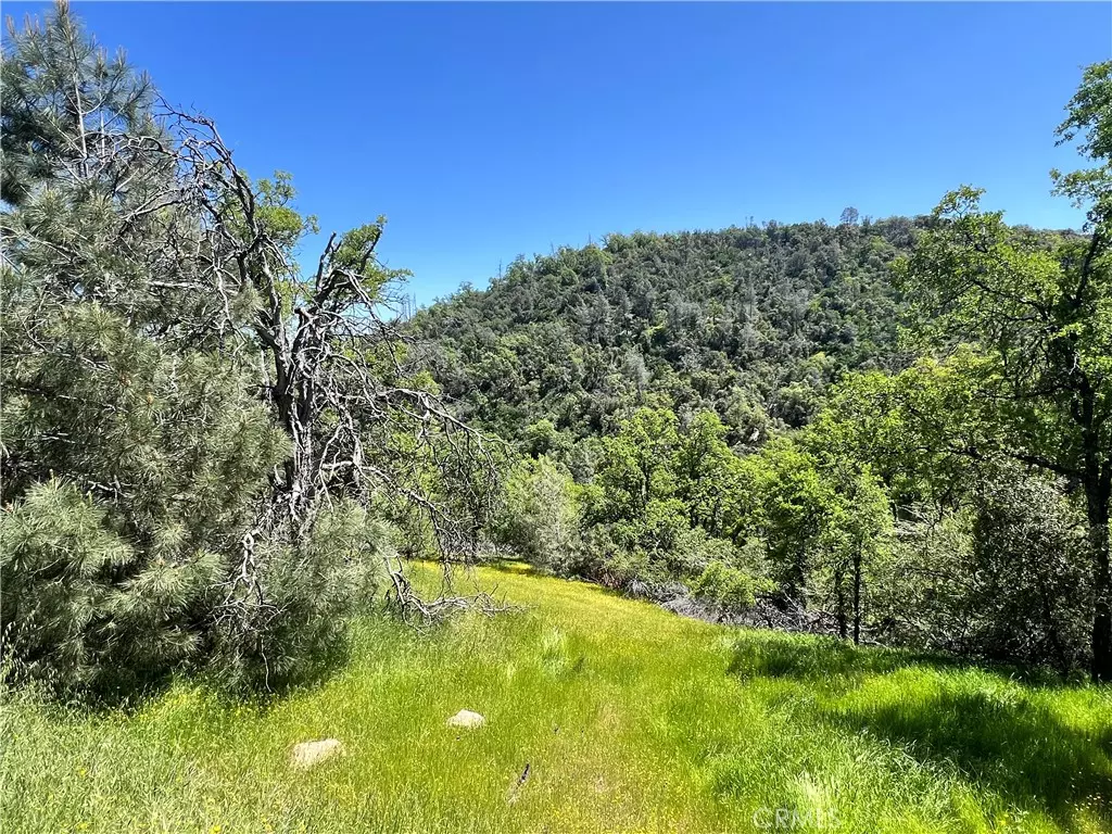 Mariposa, CA 95338,0 Lakeside DR