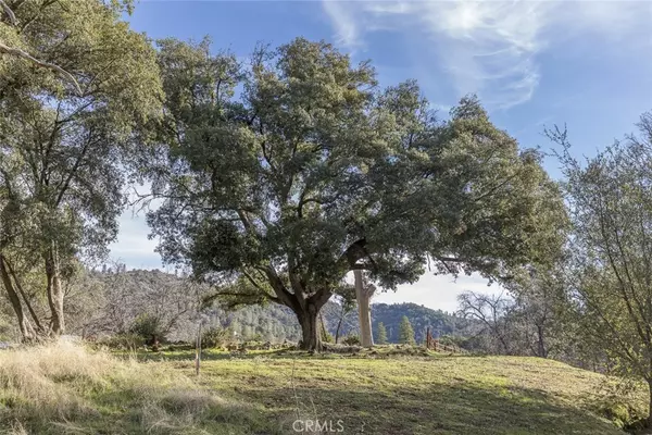 Mariposa, CA 95338,0 Nutter Ranch