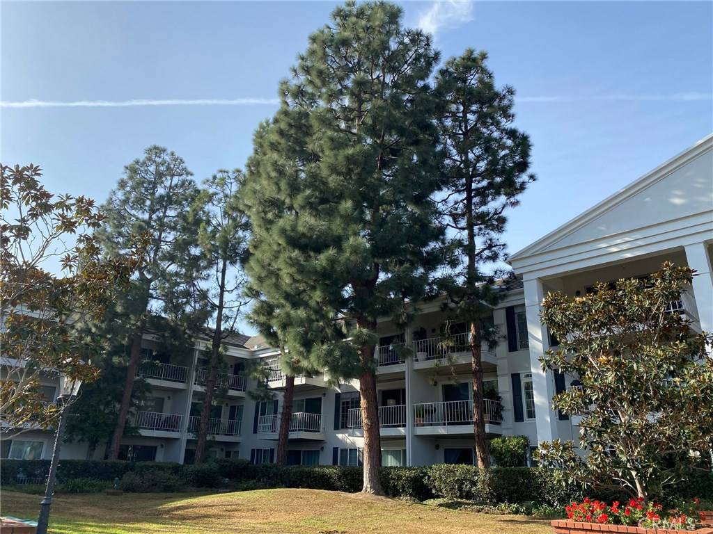 Newport Beach, CA 92663,102 SCHOLZ PLAZA #239