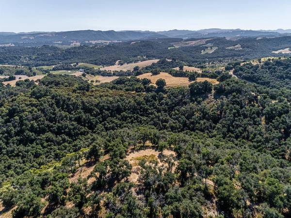 Paso Robles, CA 93446,0 Live Oak RD