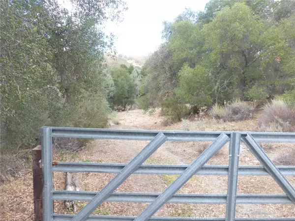 San Miguel, CA 93451,0 Vineyard Canyon (parcel 29) RD