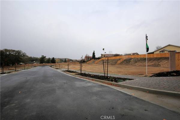 Paso Robles, CA 93446,5 Catahoula