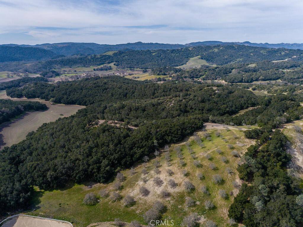 Paso Robles, CA 93446,0 Loose Horse LN