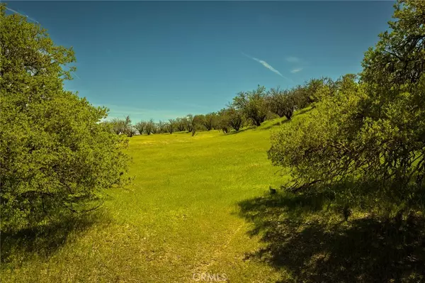 Paso Robles, CA 93446,0 Geneseo Road