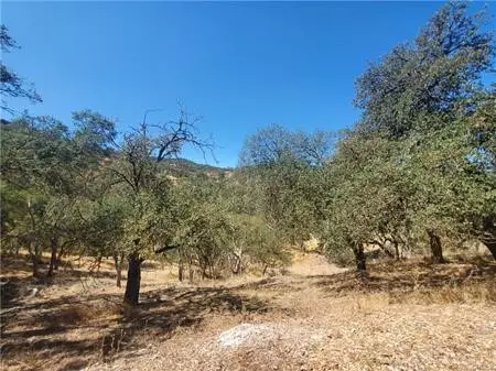 Paso Robles, CA 93446,5129 Northfork PL