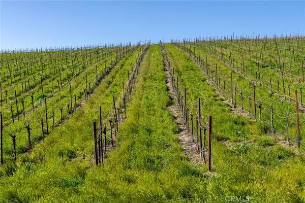 Paso Robles, CA 93451,5790 Hog Canyon