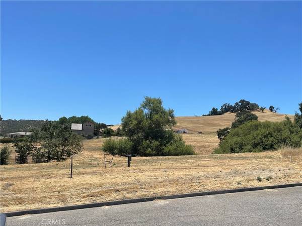 Paso Robles, CA 93446,9999 Bluegill DR