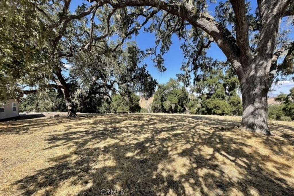 Paso Robles, CA 93446,9970 Bluegill DR