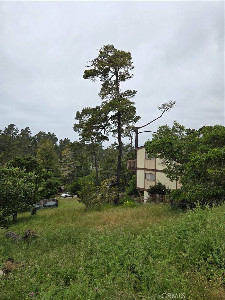 Cambria, CA 93428,0 Pierce AVE