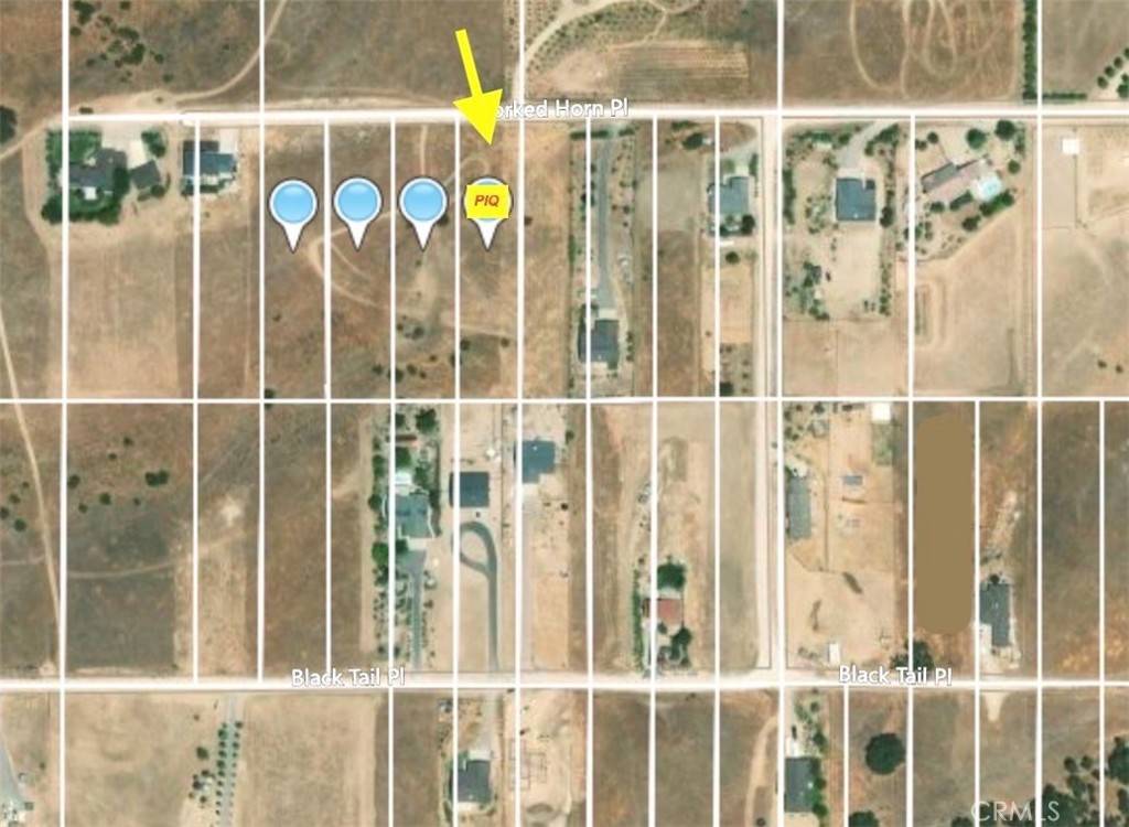 Paso Robles, CA 93446,5910 Forked Horn PL