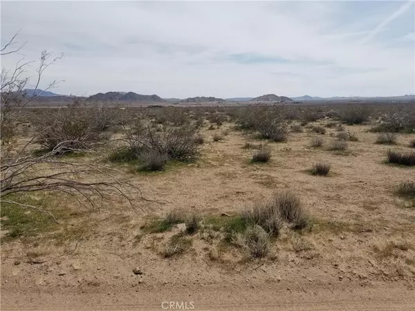 Lucerne Valley, CA 92635,34558 Cattleman