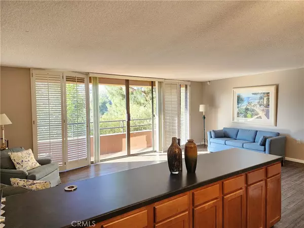 Laguna Woods, CA 92637,24055 Paseo Del Lago #359