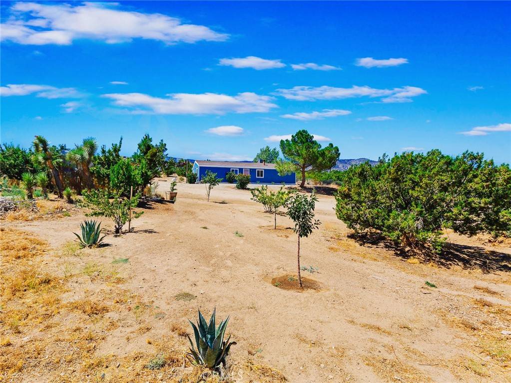 Pinon Hills, CA 92372,3477 Highway 138