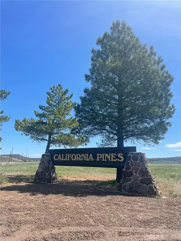 0 Yellow Pine DR, Alturas, CA 96101