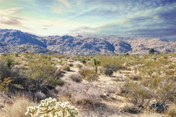 7542 Vista RD, Joshua Tree, CA 92252