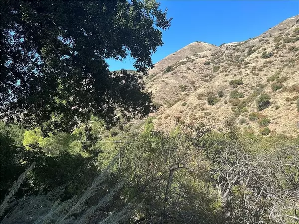 Silverado Canyon, CA 92676,30842 Silverado Canyon