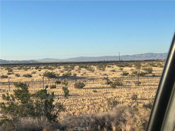 Newberry Springs, CA 92365,0 Harvard