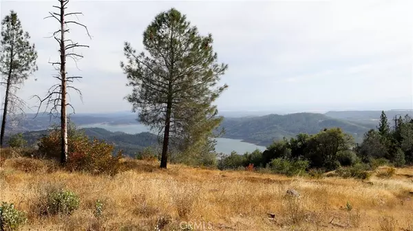 Oroville, CA 95916,0 Bloomer Mountain RD