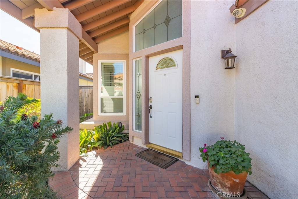 Rancho Santa Margarita, CA 92688,16 Sarracenia