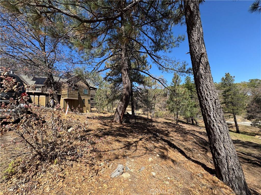 Lake Arrowhead, CA 92352,1684 L Way