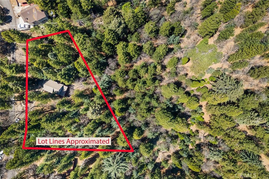 Rimforest, CA 92378,1163 Scenic WAY