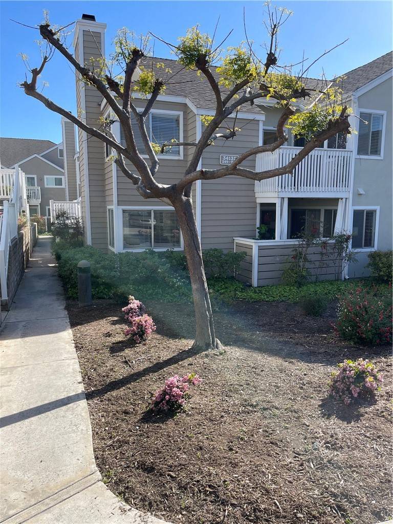 Dana Point, CA 92629,34132 Selva RD #254