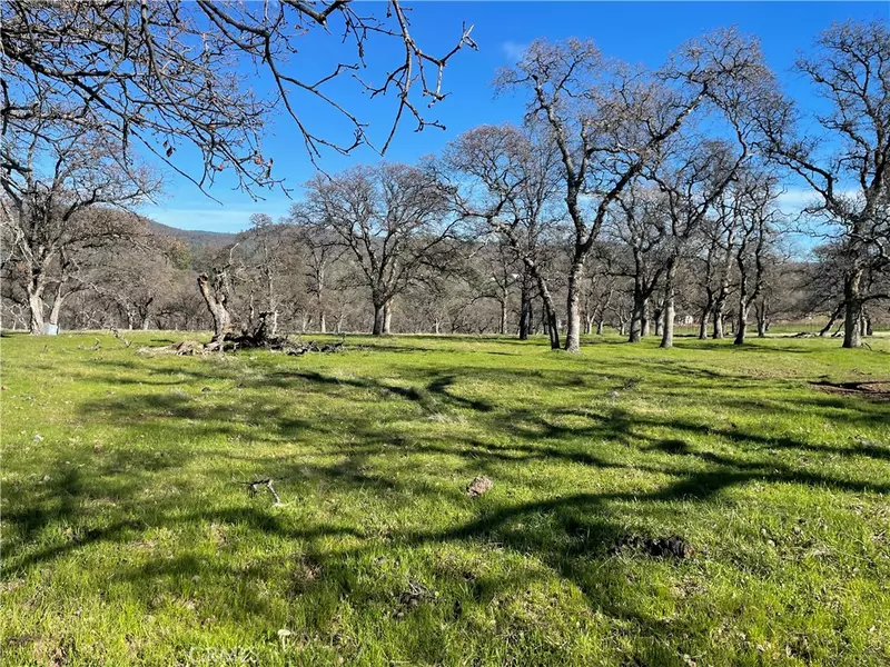 0 Avacado, Bangor, CA 95914