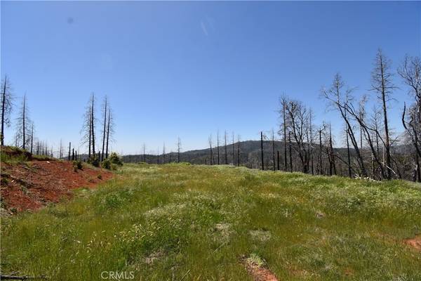 Berry Creek, CA 95916,0 Quartz Hill LN