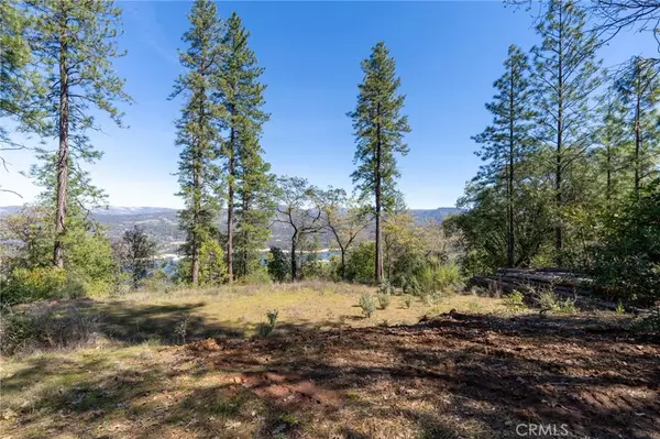 Oroville, CA 95966,0 Lake Haven