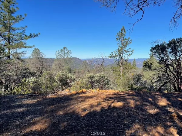 Oroville, CA 95966,0 Bandit LN